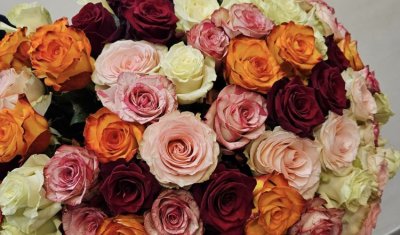 Un bouquet de 90 roses pour fêter l'anniversaire de 90 printemps au Puy-en-Velay