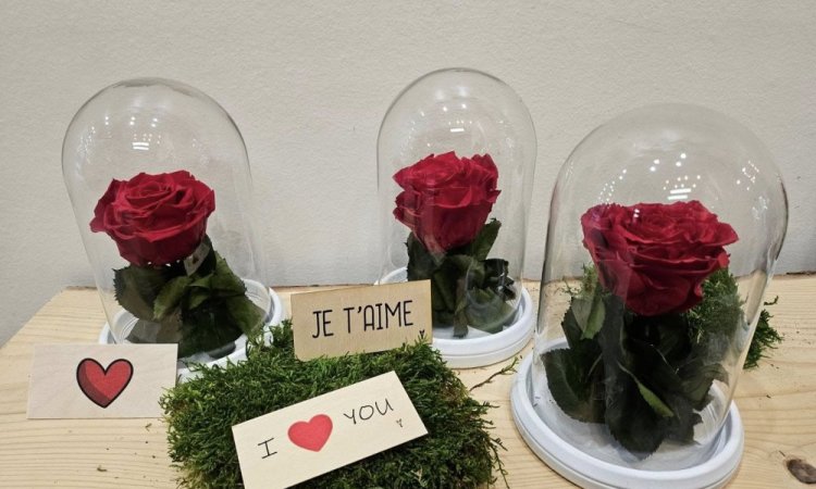 Bouquet de roses rouges pour la Saint-Valentin au Puy-en-Velay
