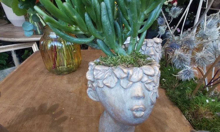 Nouveauté à la boutique Fleurs et sens. De jolis visages apportent un peu de poésie au Puy-en-Velay
