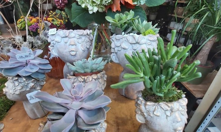 Nouveauté à la boutique Fleurs et sens. De jolis visages apportent un peu de poésie au Puy-en-Velay
